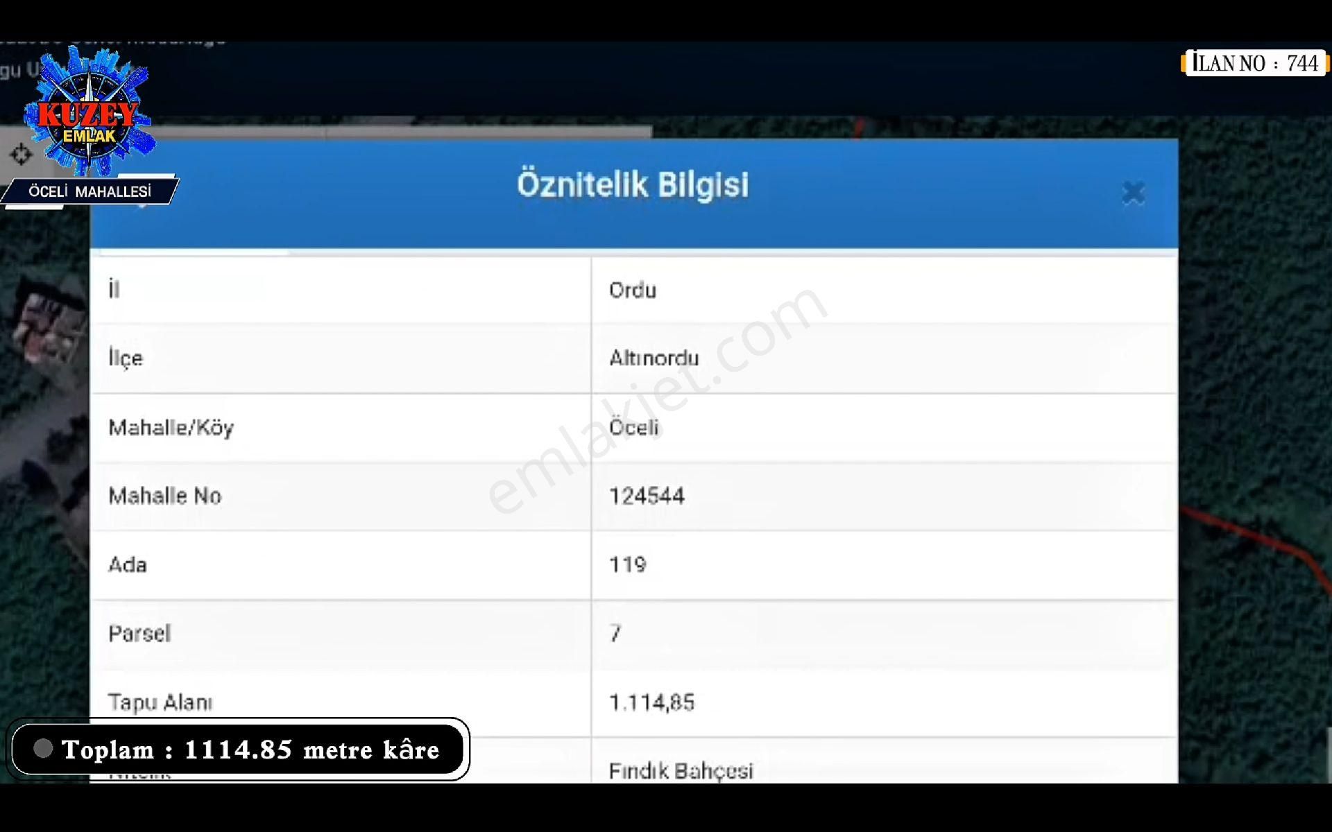 Altınordu/ordu Öceli Mahallesin'de Satılık Fındık Bahçesi - Görsel 12