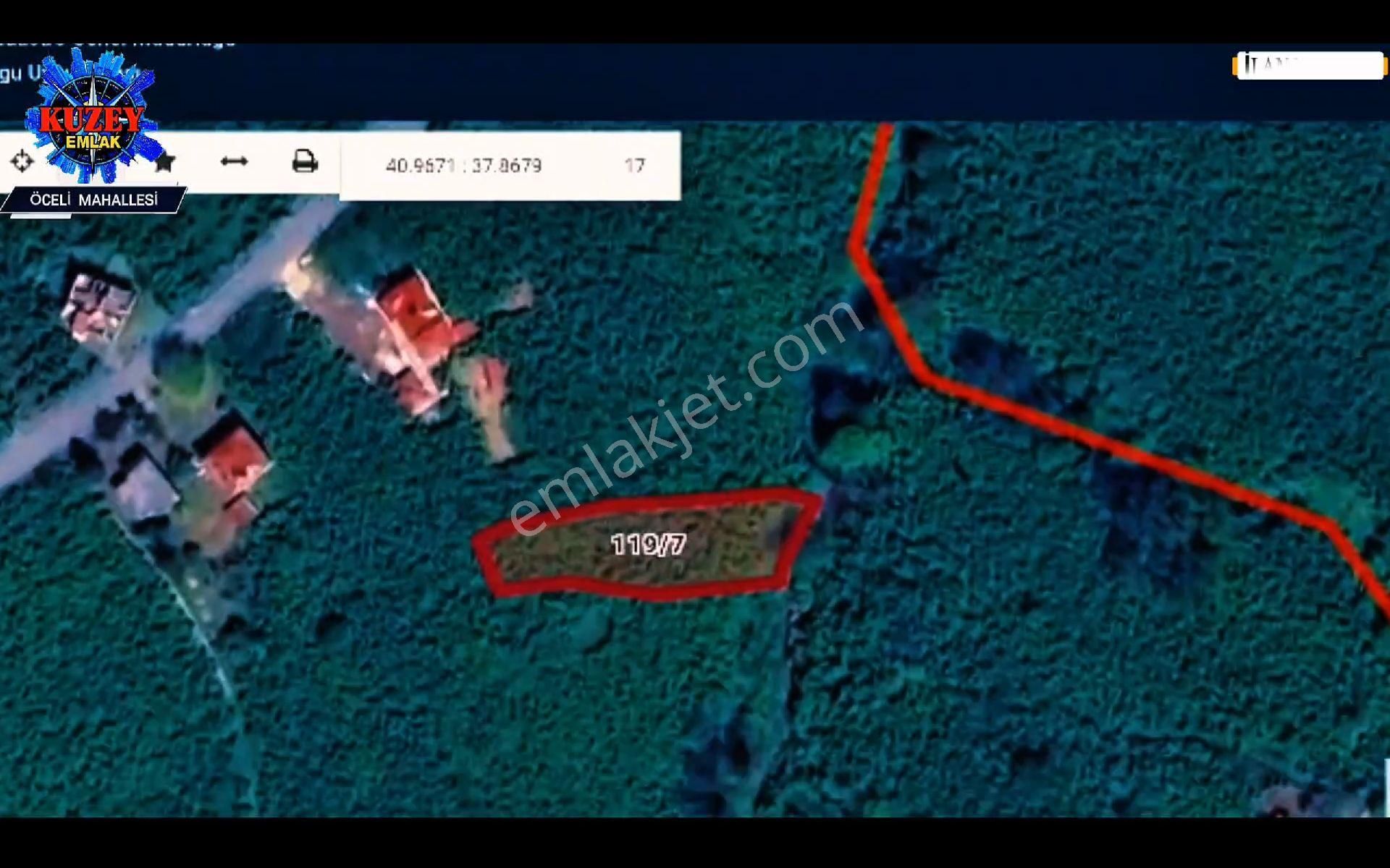 Altınordu/ordu Öceli Mahallesin'de Satılık Fındık Bahçesi - Görsel 11