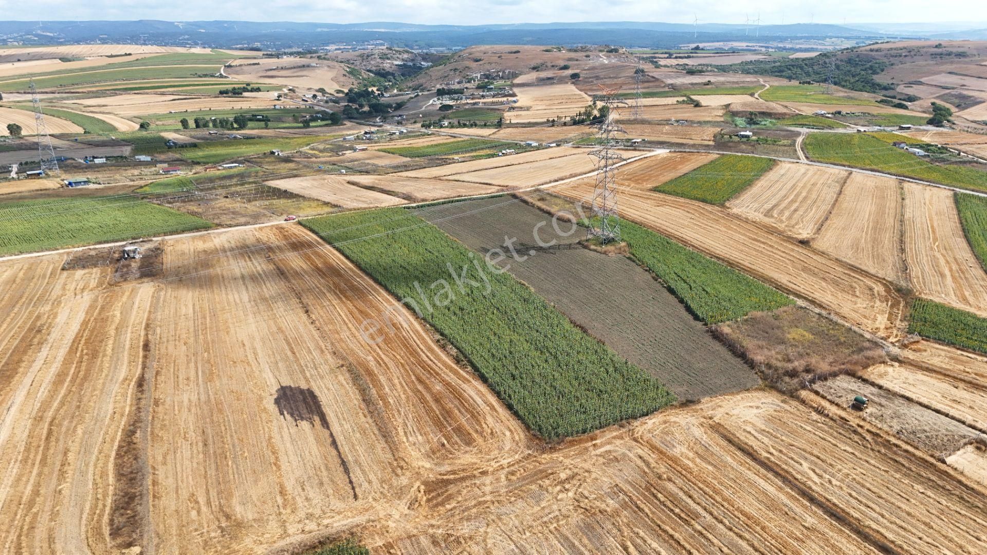 Haftanın Fırsatı! Silivri Kadıköy Mahallesinde Satılık Arsa - Görsel 3