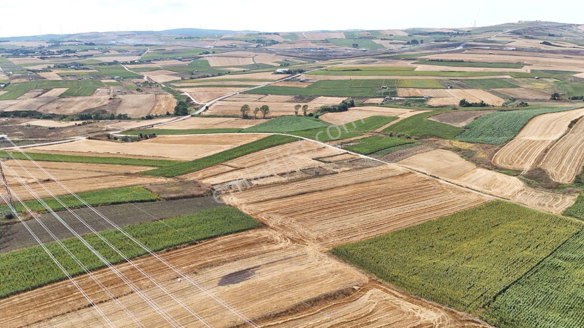 Haftanın Fırsatı! Silivri Kadıköy Mahallesinde Satılık Arsa - Görsel 10