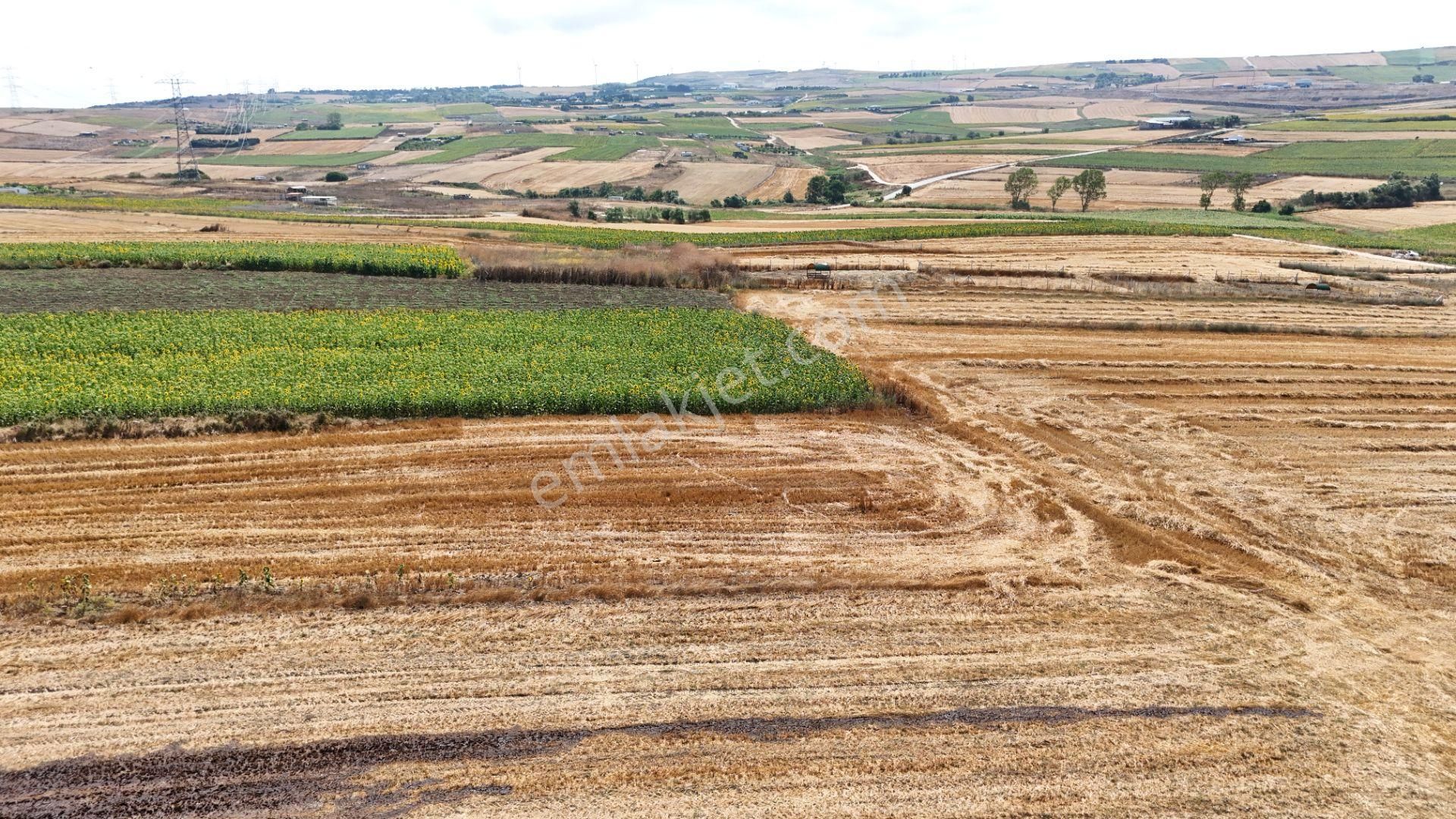 Haftanın Fırsatı! Silivri Kadıköy Mahallesinde Satılık Arsa - Görsel 12