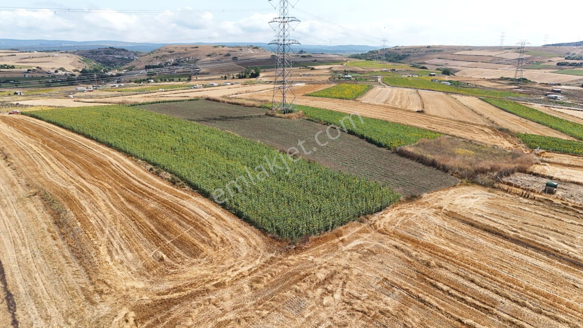 Haftanın Fırsatı! Silivri Kadıköy Mahallesinde Satılık Arsa - Görsel 16