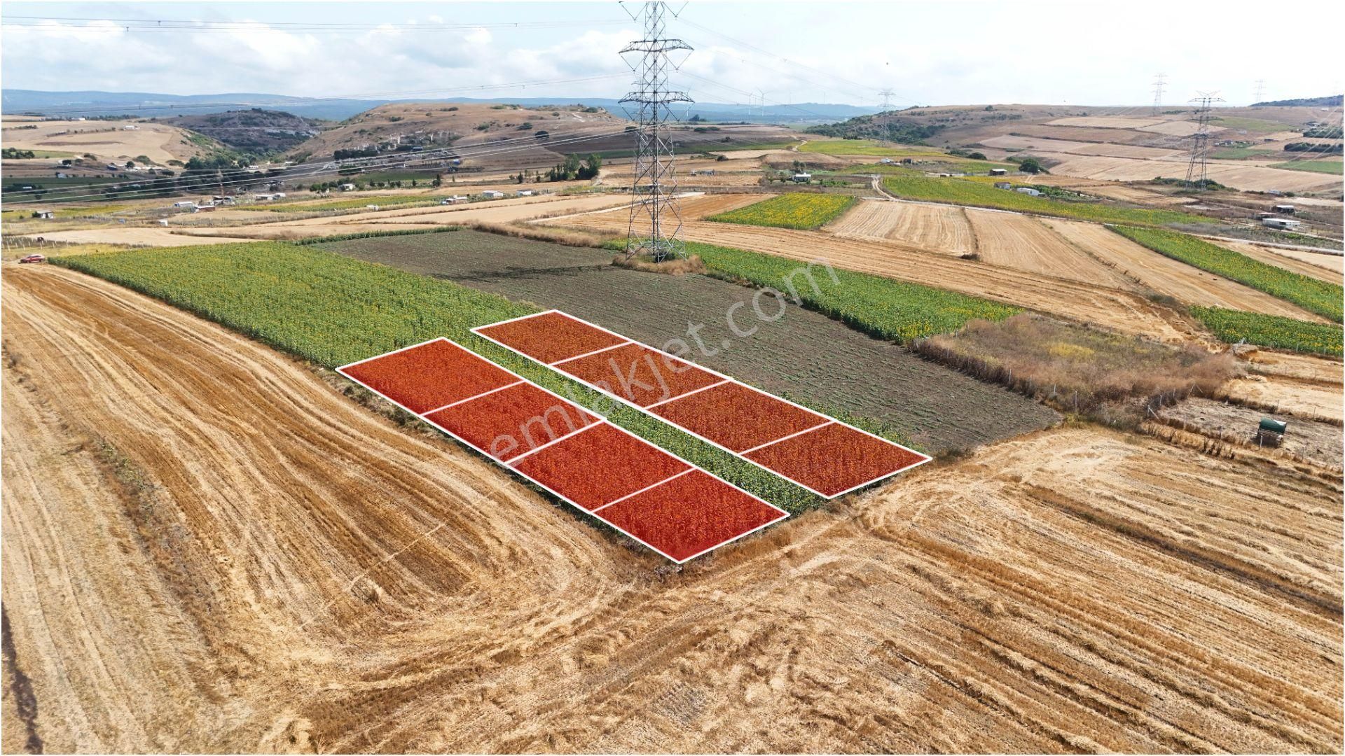 Haftanın Fırsatı! Silivri Kadıköy Mahallesinde Satılık Arsa - Görsel 6