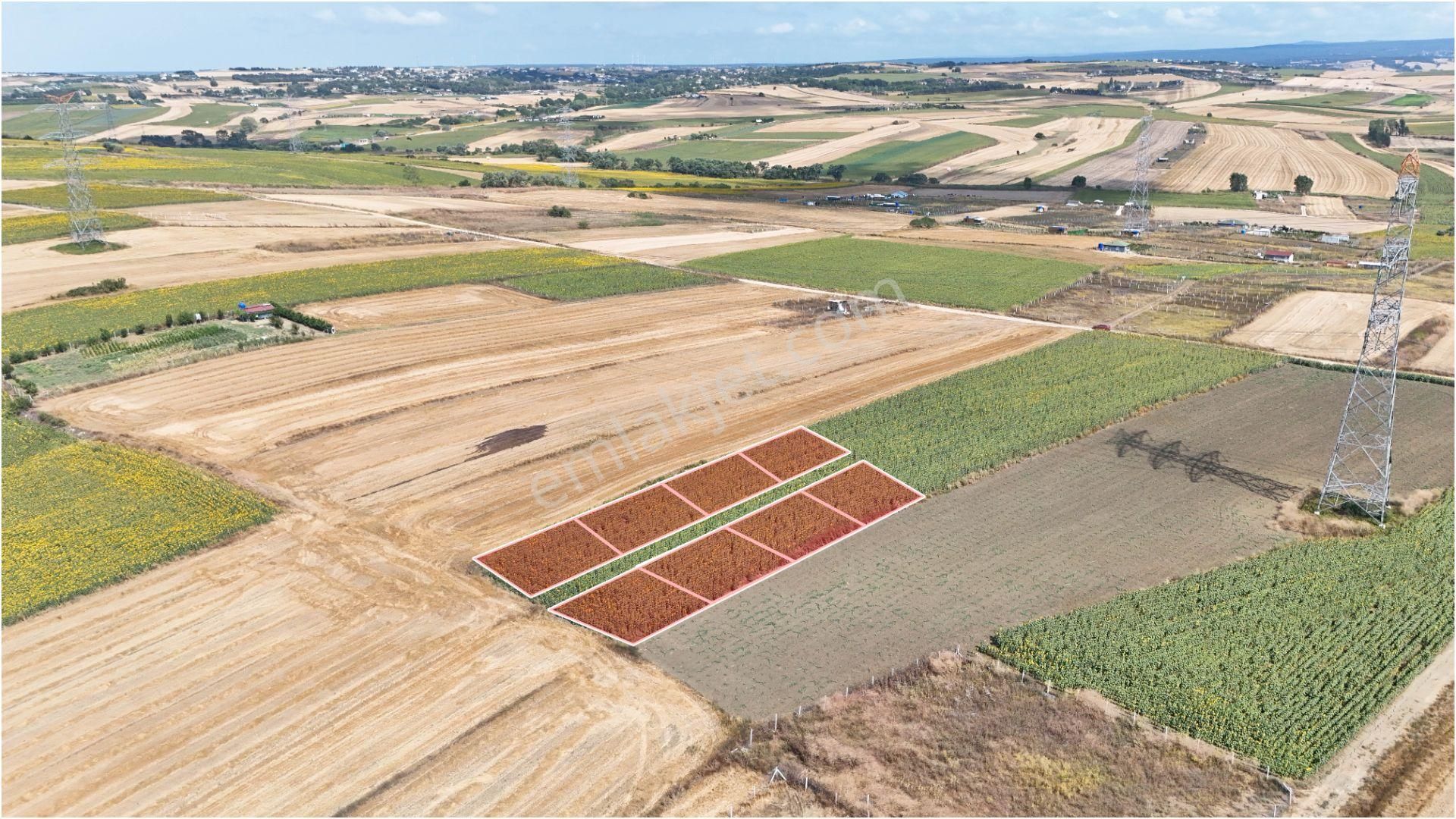 Haftanın Fırsatı! Silivri Kadıköy Mahallesinde Satılık Arsa - Görsel 5