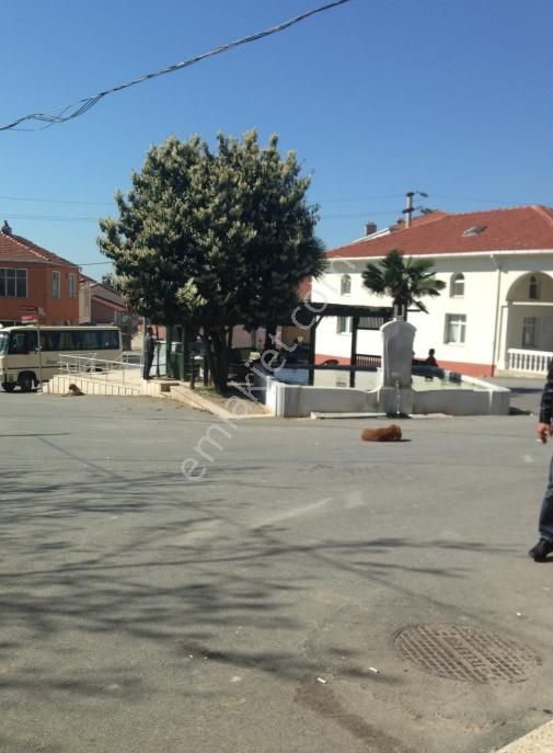 Çatalca Merkeze Yakın Satılık 460 M2 Doğa Manzaralı Arsa