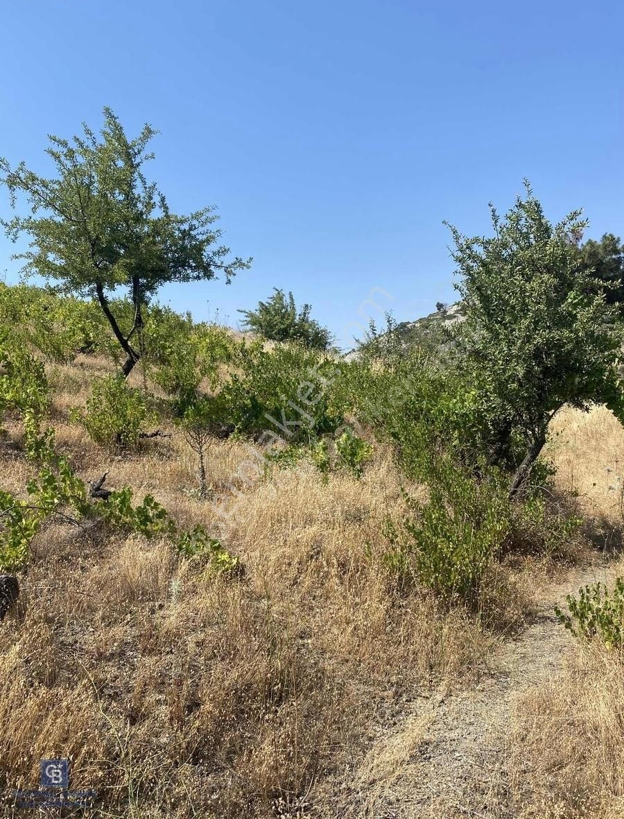 Güzelbahçe Payamlı 18.782m2 Arsa - Görsel 14