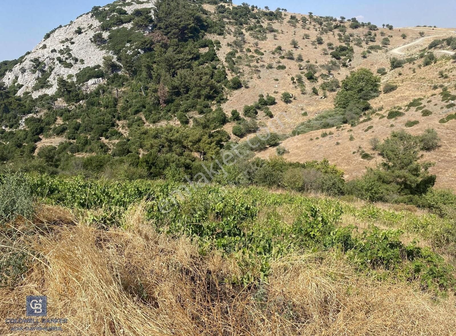 Güzelbahçe Payamlı 18.782m2 Arsa - Görsel 3