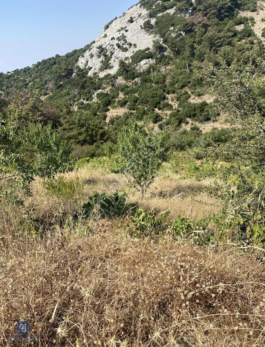 Güzelbahçe Payamlı 18.782m2 Arsa - Görsel 8