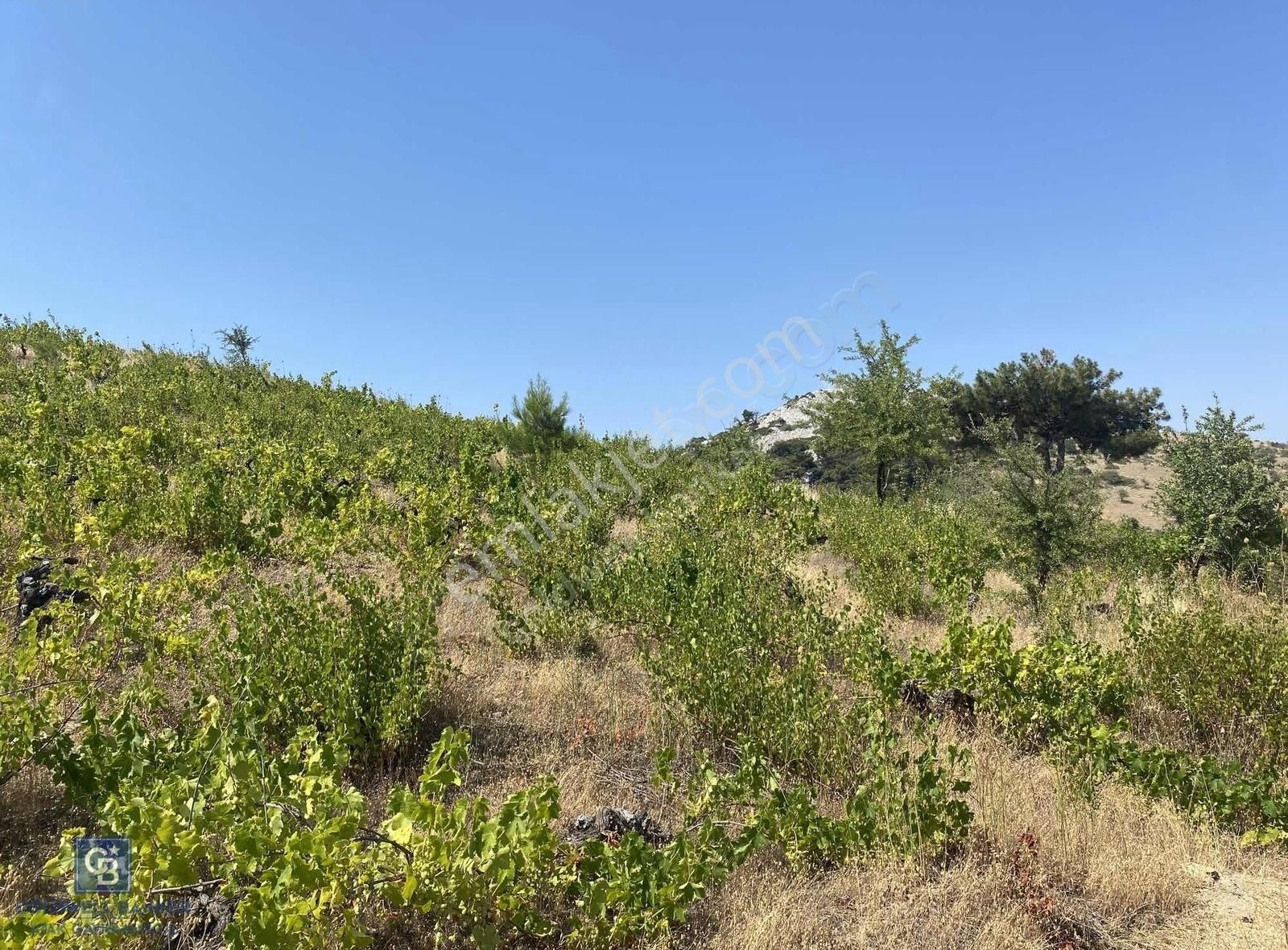 Güzelbahçe Payamlı 18.782m2 Arsa - Görsel 13