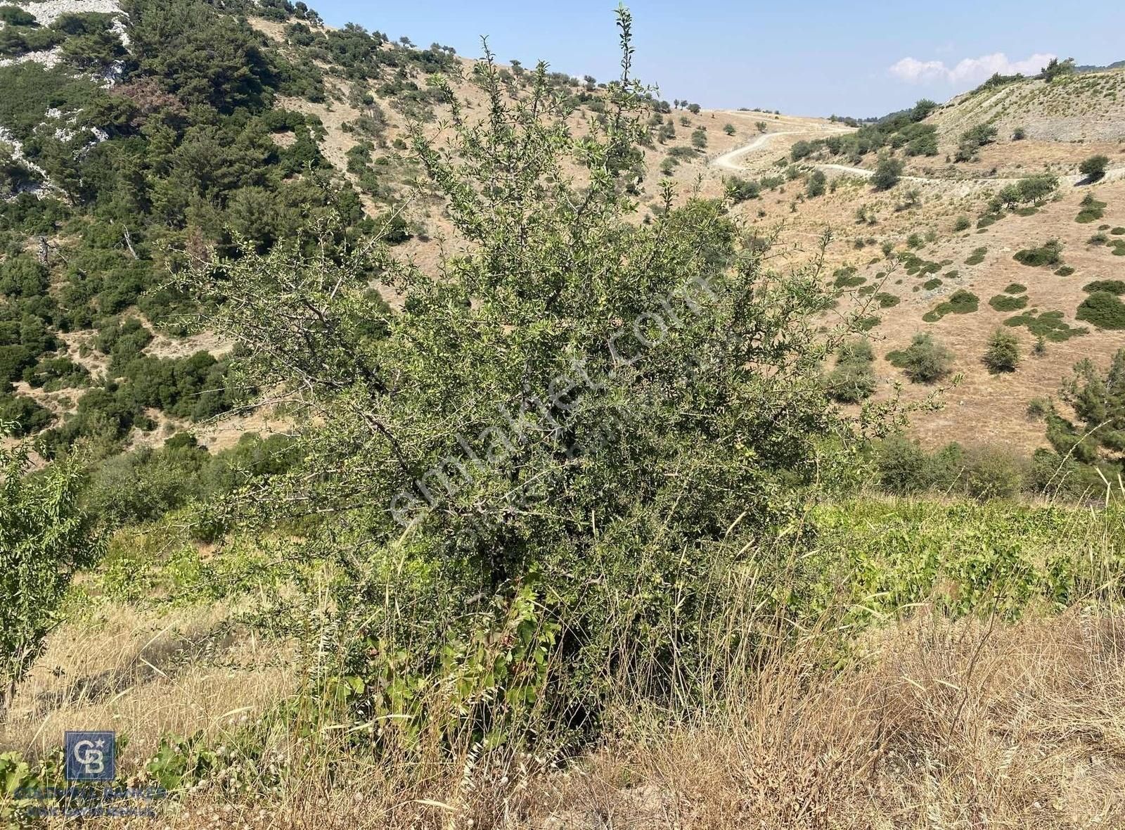 Güzelbahçe Payamlı 18.782m2 Arsa - Görsel 12
