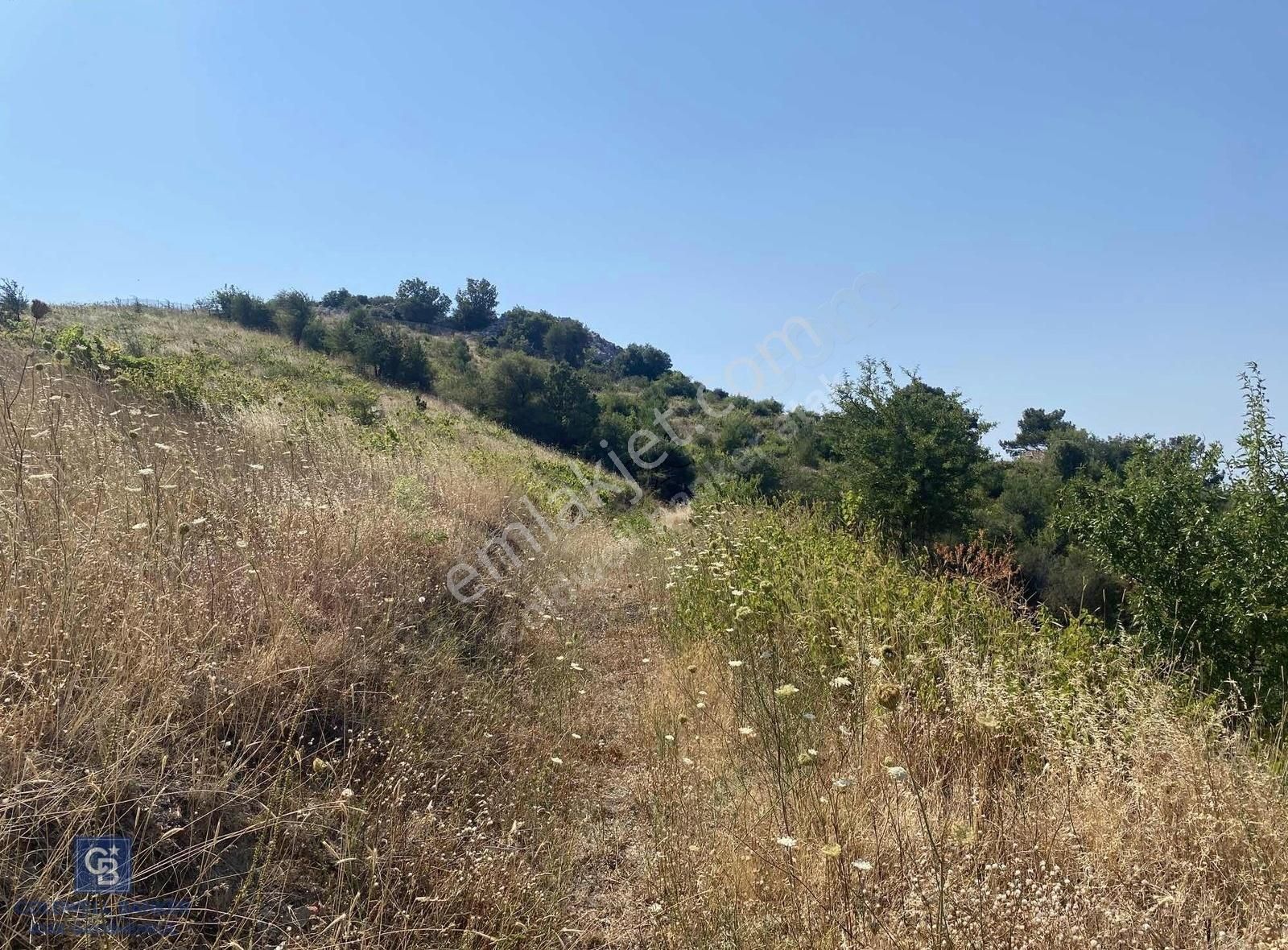 Güzelbahçe Payamlı 18.782m2 Arsa - Görsel 2