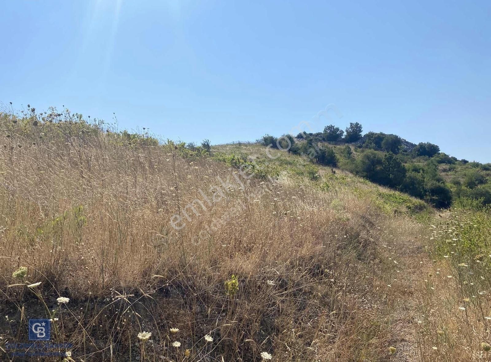 Güzelbahçe Payamlı 18.782m2 Arsa - Görsel 10