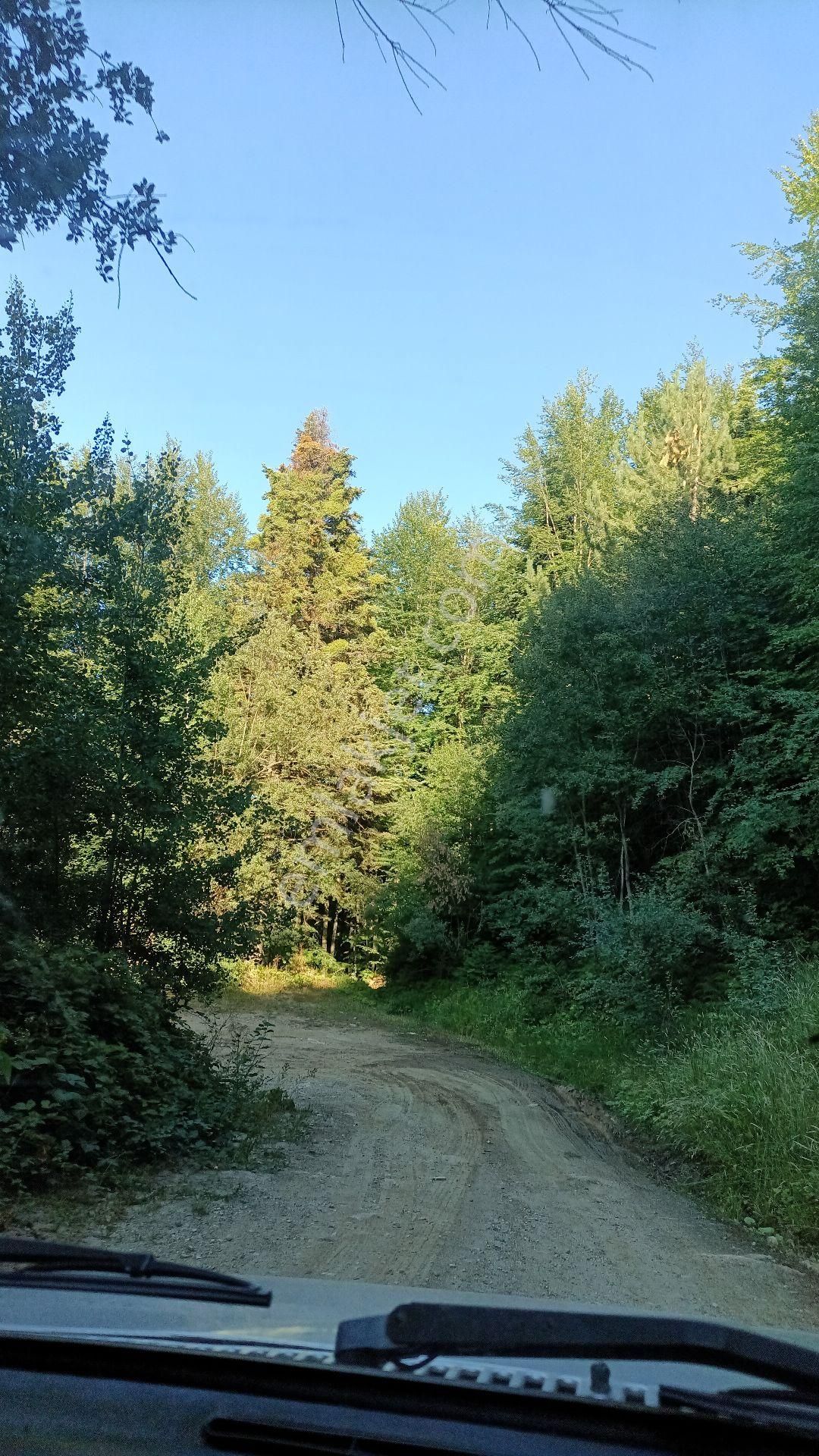 Saitabat Da Çok Güzel Yer - Görsel 4