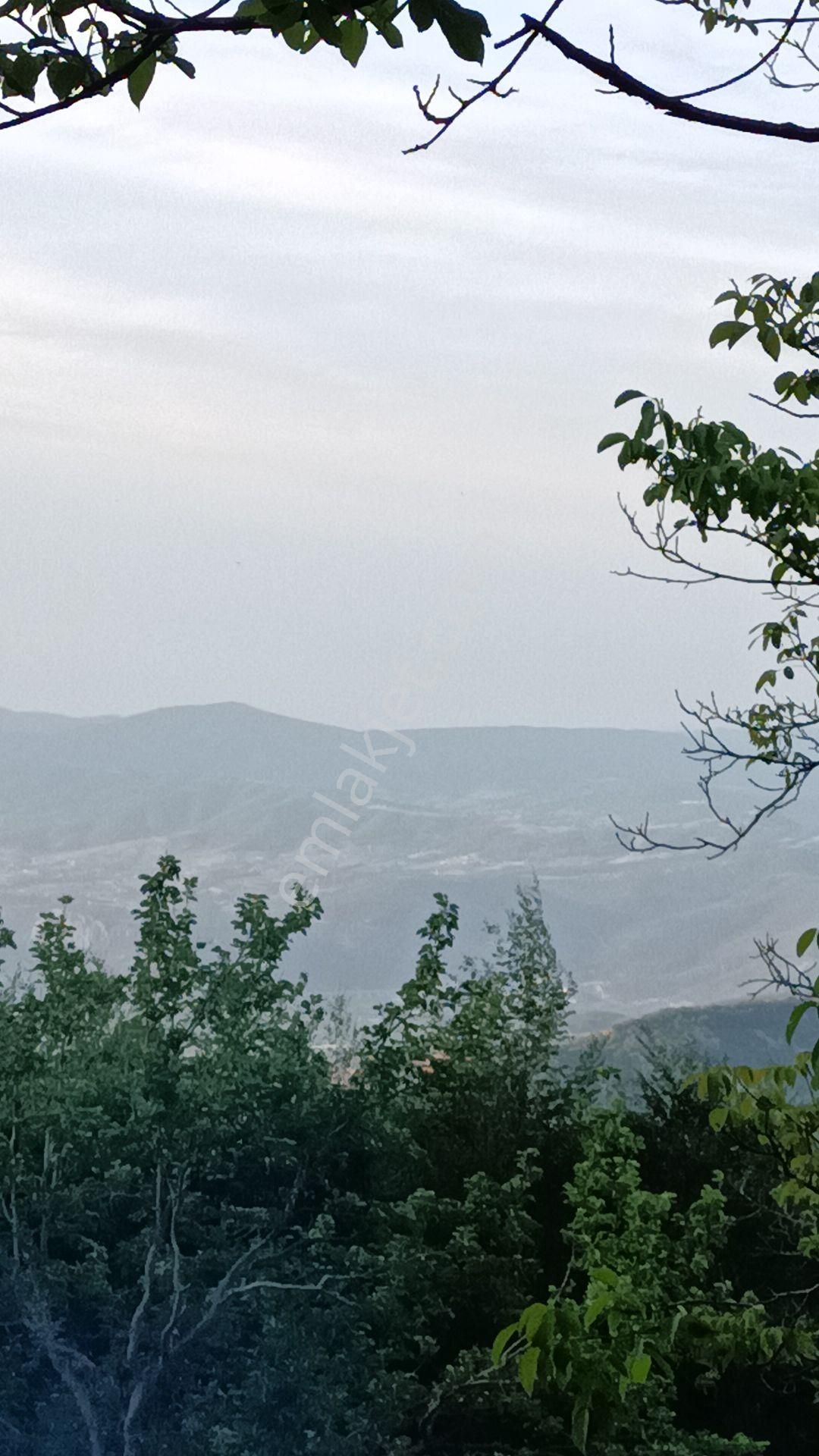 Saitabat Da Çok Güzel Yer - Görsel 2