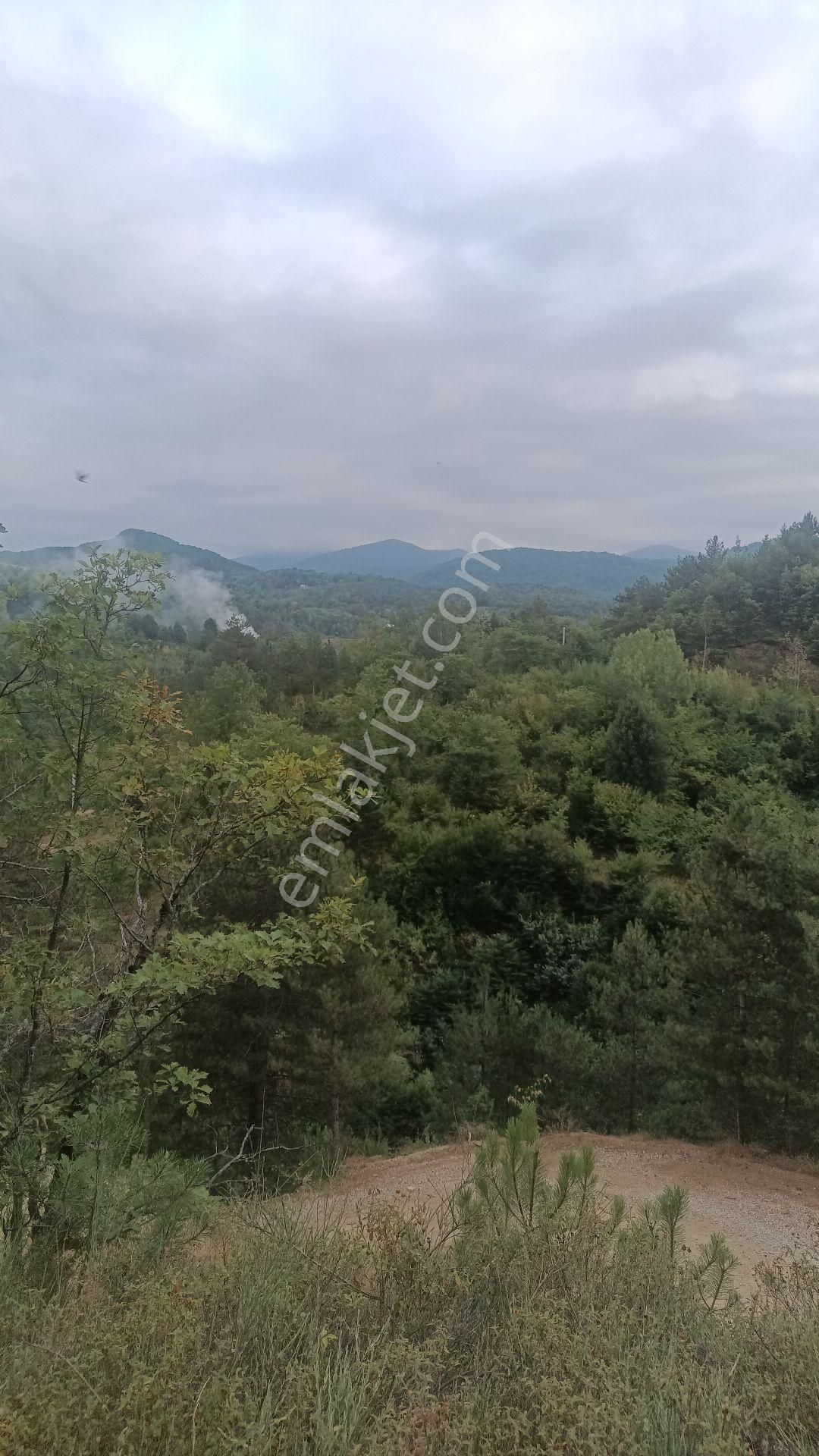 Saitabat Da Çok Güzel Yer - Görsel 5