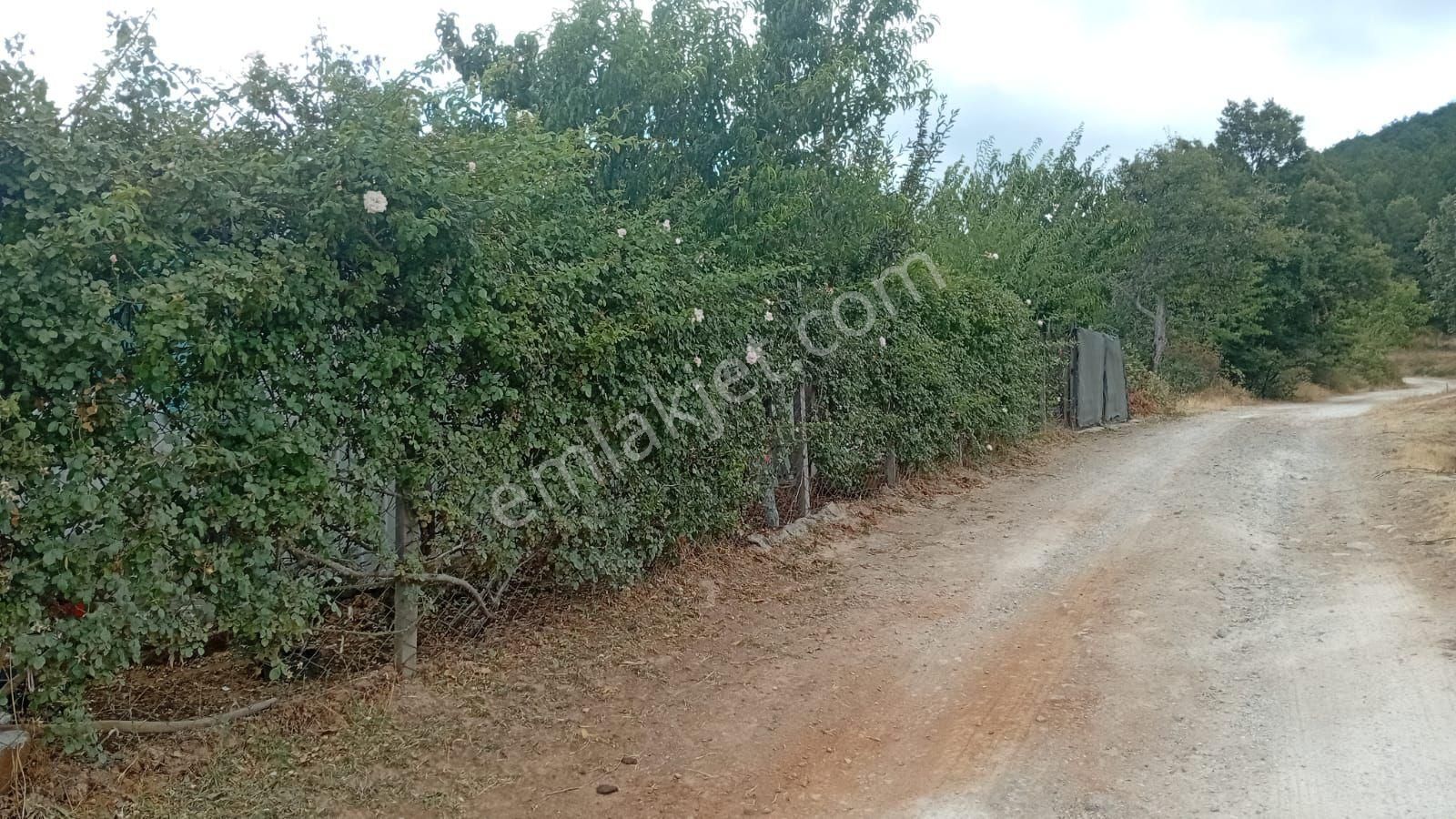 İmarlı Arsa İçinde Balkonlu Konteyner Var 374 Metre Kare - Görsel 10