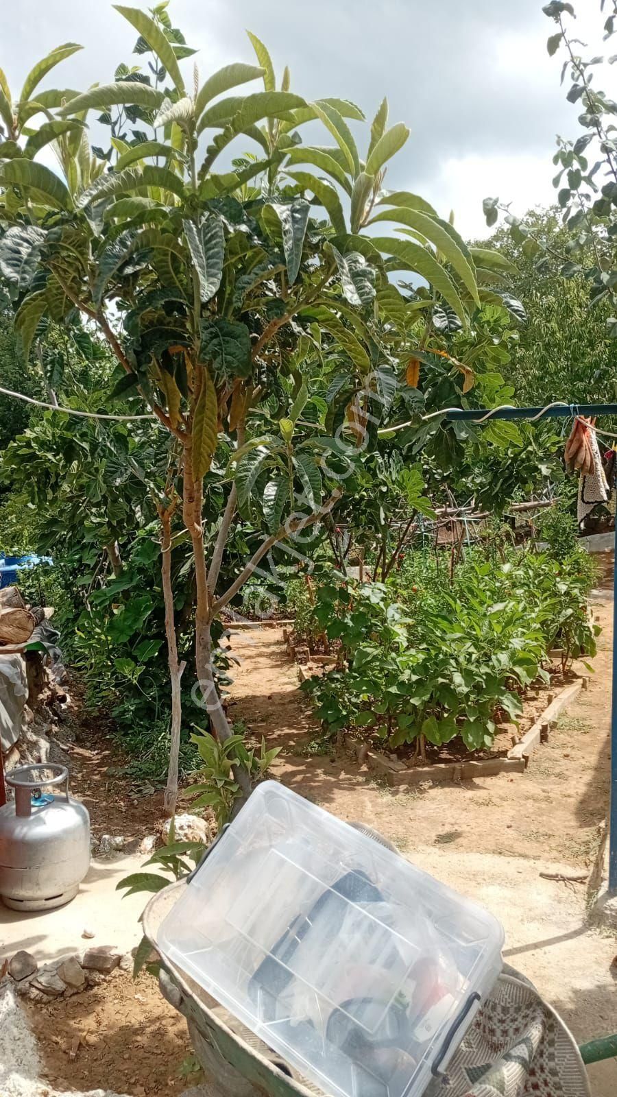 İmarlı Arsa İçinde Balkonlu Konteyner Var 374 Metre Kare - Görsel 22
