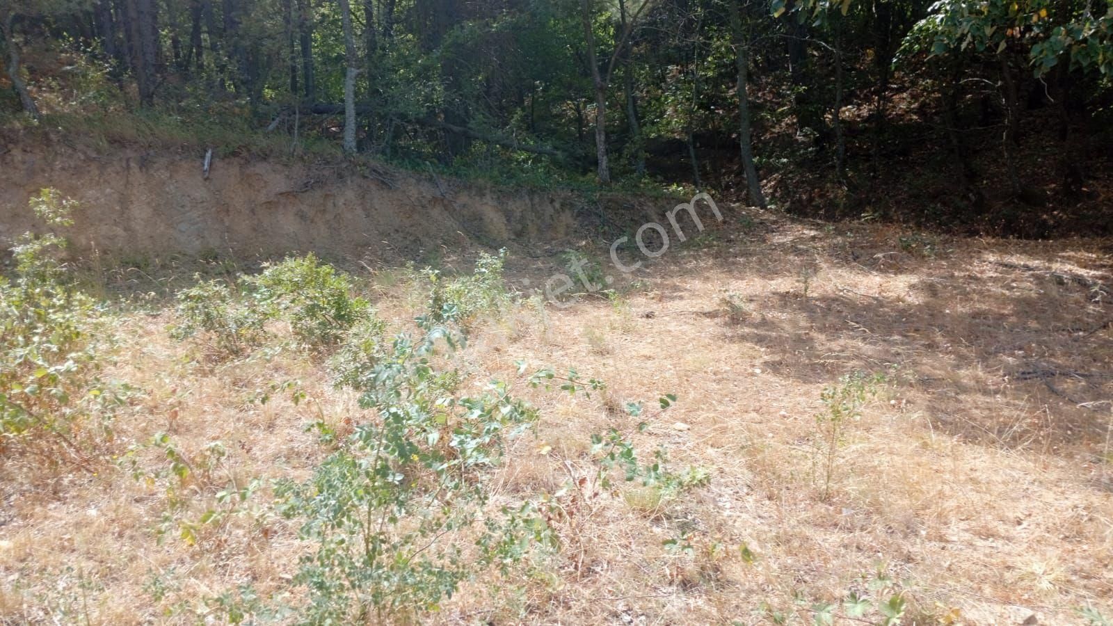 İmarlı Arsa İçinde Balkonlu Konteyner Var 374 Metre Kare - Görsel 29