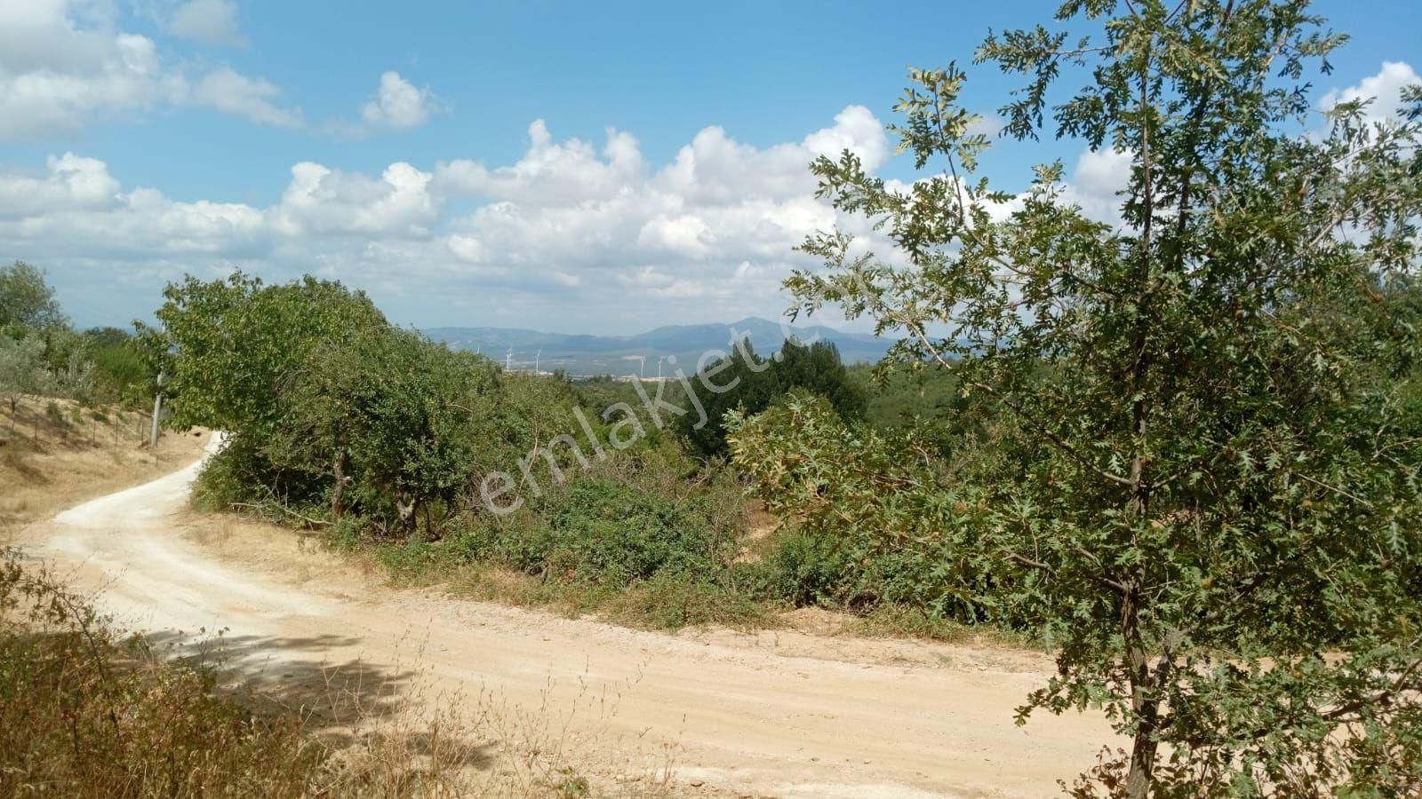 İmarlı Arsa İçinde Balkonlu Konteyner Var 374 Metre Kare - Görsel 31