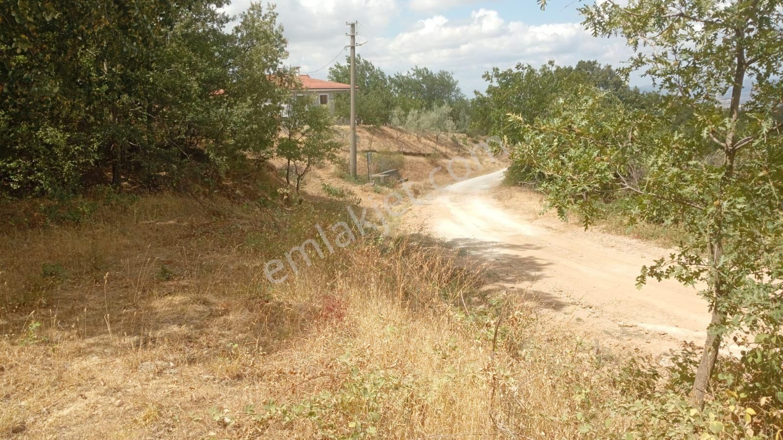 İmarlı Arsa İçinde Balkonlu Konteyner Var 374 Metre Kare - Görsel 28