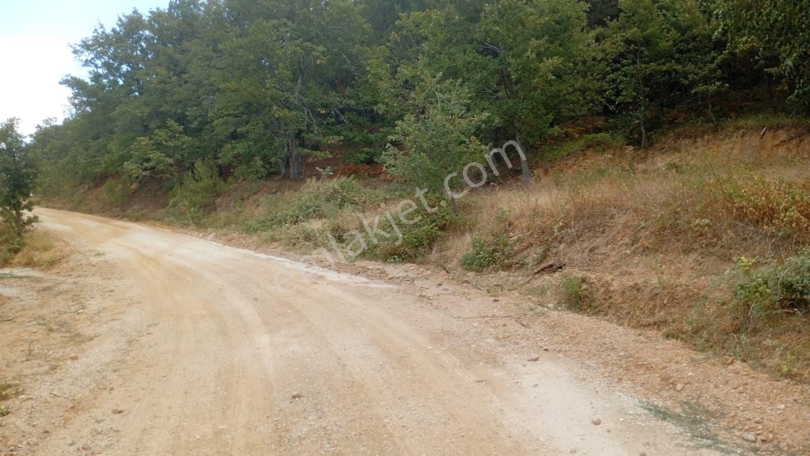 İmarlı Arsa İçinde Balkonlu Konteyner Var 374 Metre Kare - Görsel 30