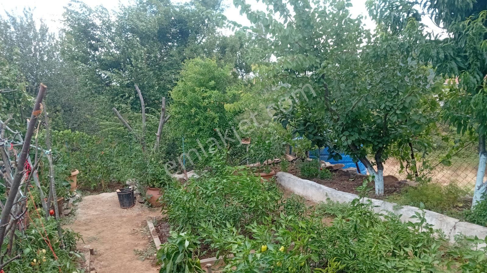 İmarlı Arsa İçinde Balkonlu Konteyner Var 374 Metre Kare - Görsel 3