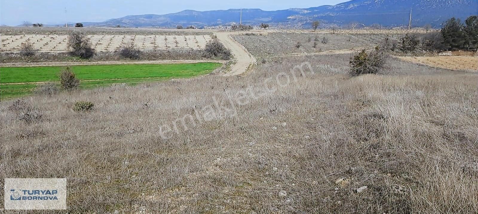 Denizli Baklanda Satılık Değerli Lokasyında Tarla - Görsel 5