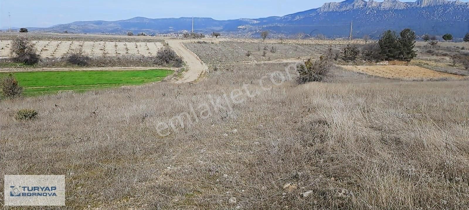 Denizli Baklanda Satılık Değerli Lokasyında Tarla - Görsel 4