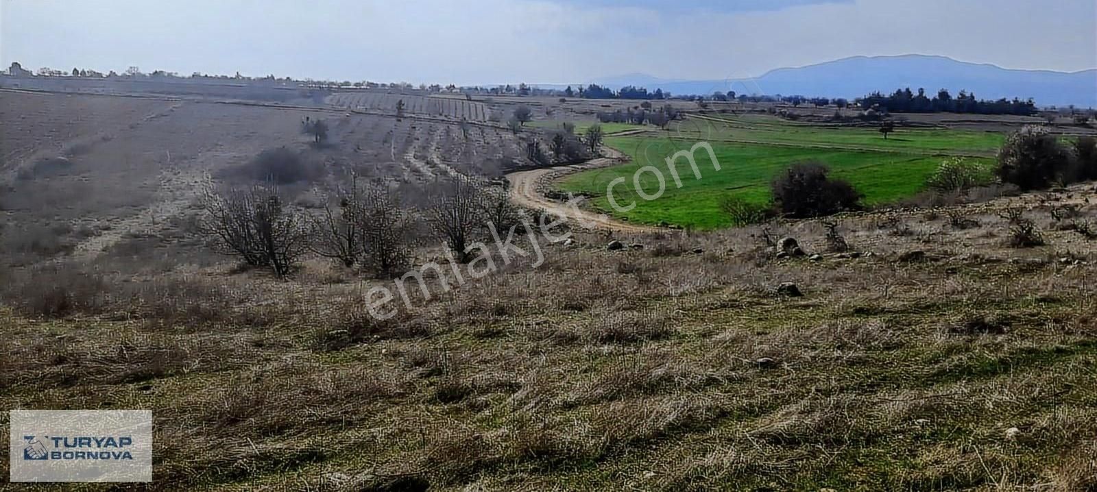 Denizli Baklanda Satılık Değerli Lokasyında Tarla - Görsel 18