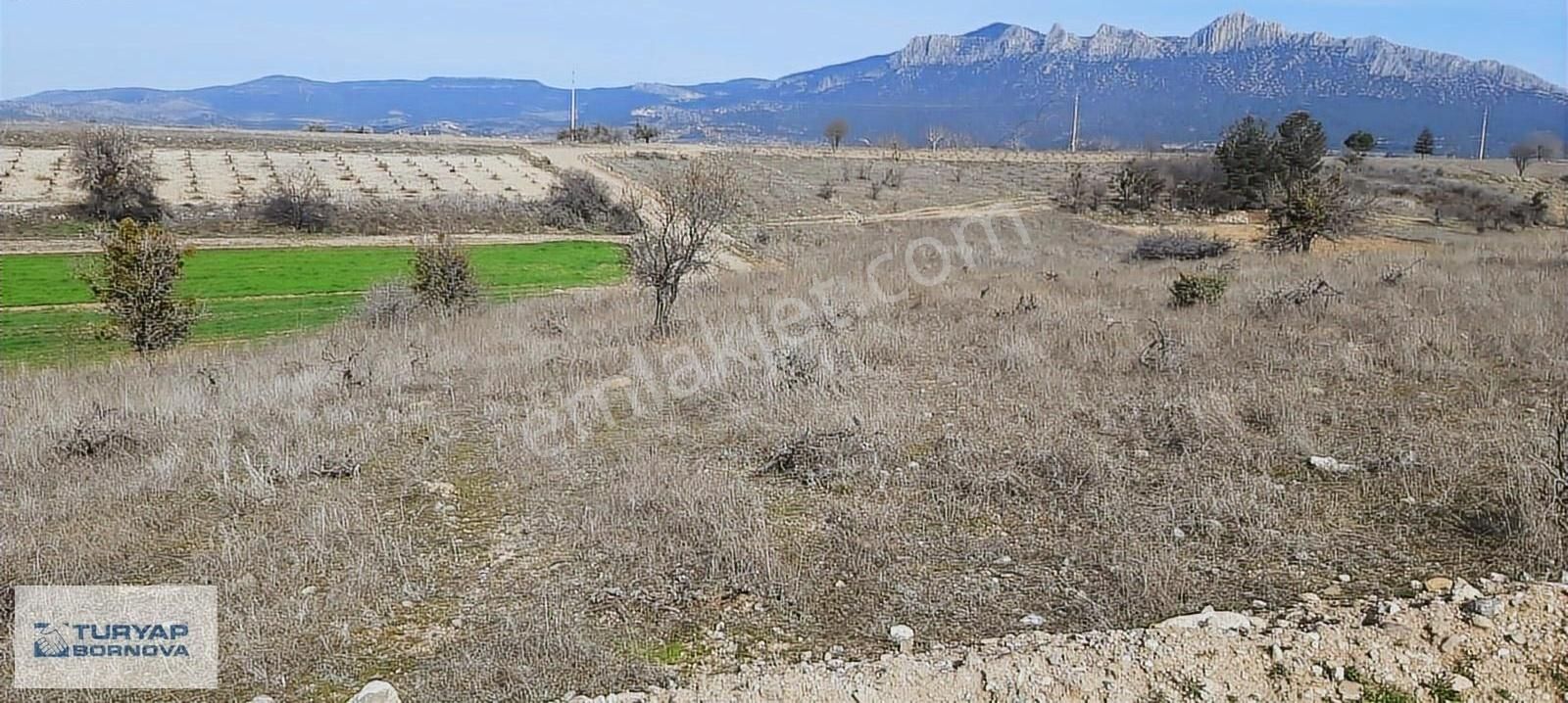 Denizli Baklanda Satılık Değerli Lokasyında Tarla - Görsel 17