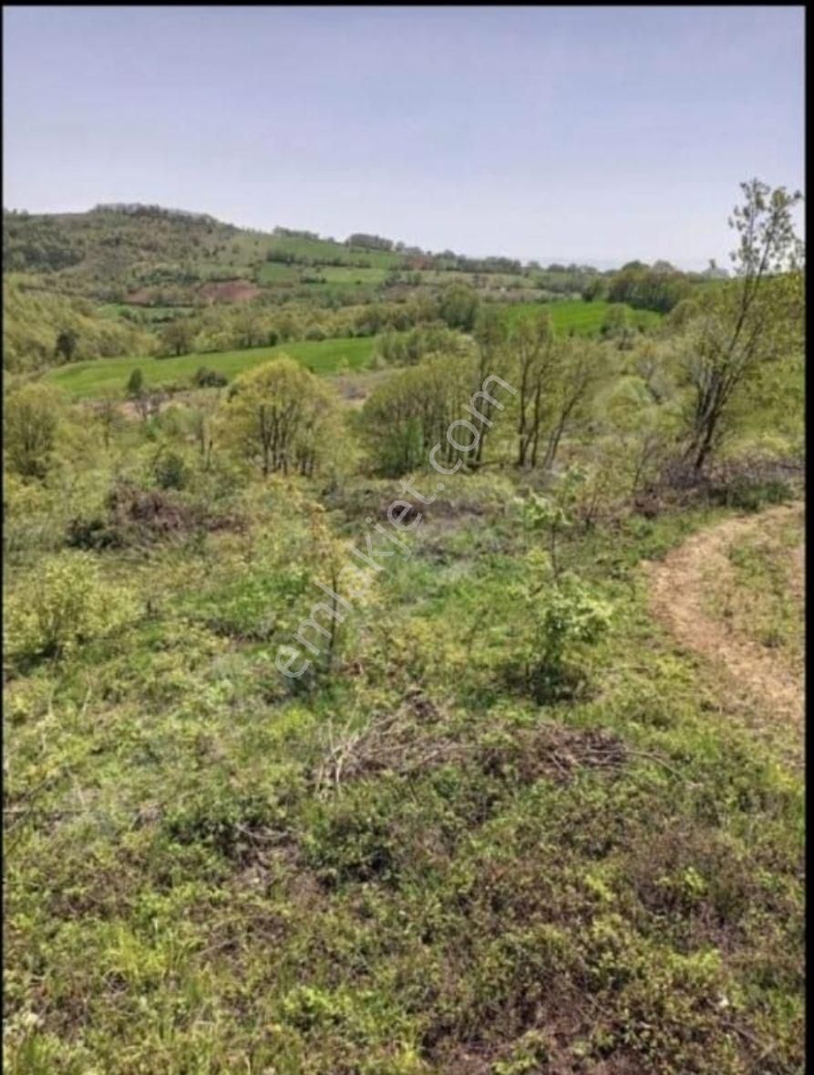 Doğaca Köyü 7000 M2 Yatırımlık Tarla Çan Çanakkale - Görsel 2