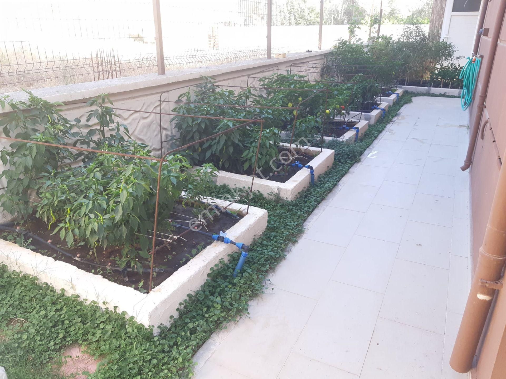 Seferihisar Sığacıkta Yeni Tripleks - Görsel 26