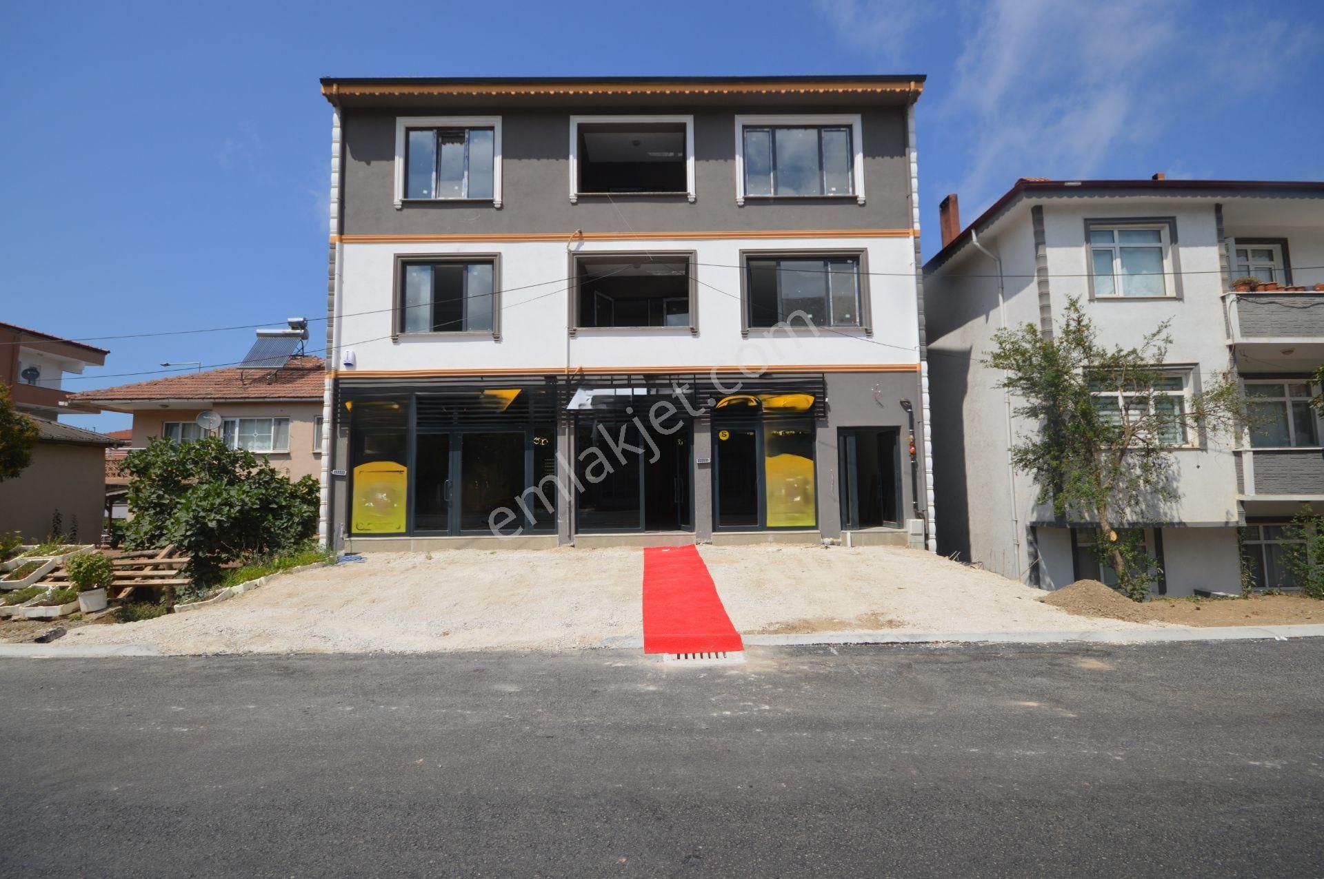 🏡 Geniş Ve Ferah 3+1 Daire Fırsatı!