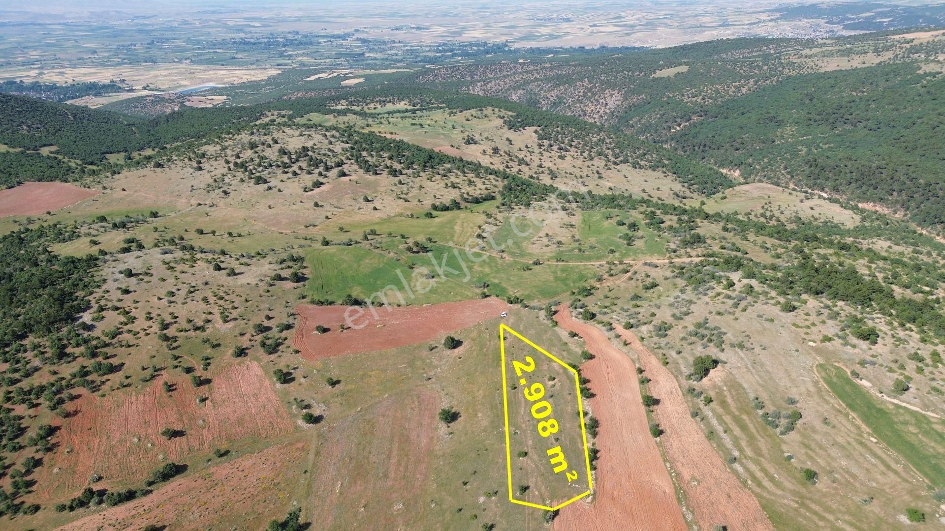 Konya / Ilgın / Gökçeyurt-gümüş Mahallesinde 2.908 M² Müstakil Tapulu Tarla