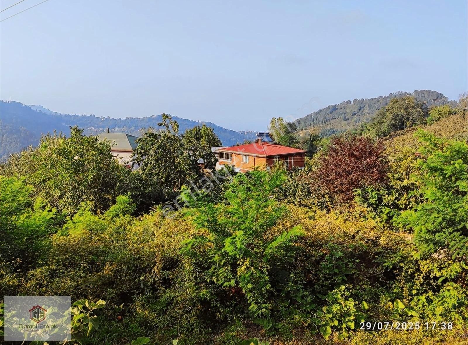 Kızılhisar Da Satılık İki Katlı Ev Ve Fındık Bahçesi