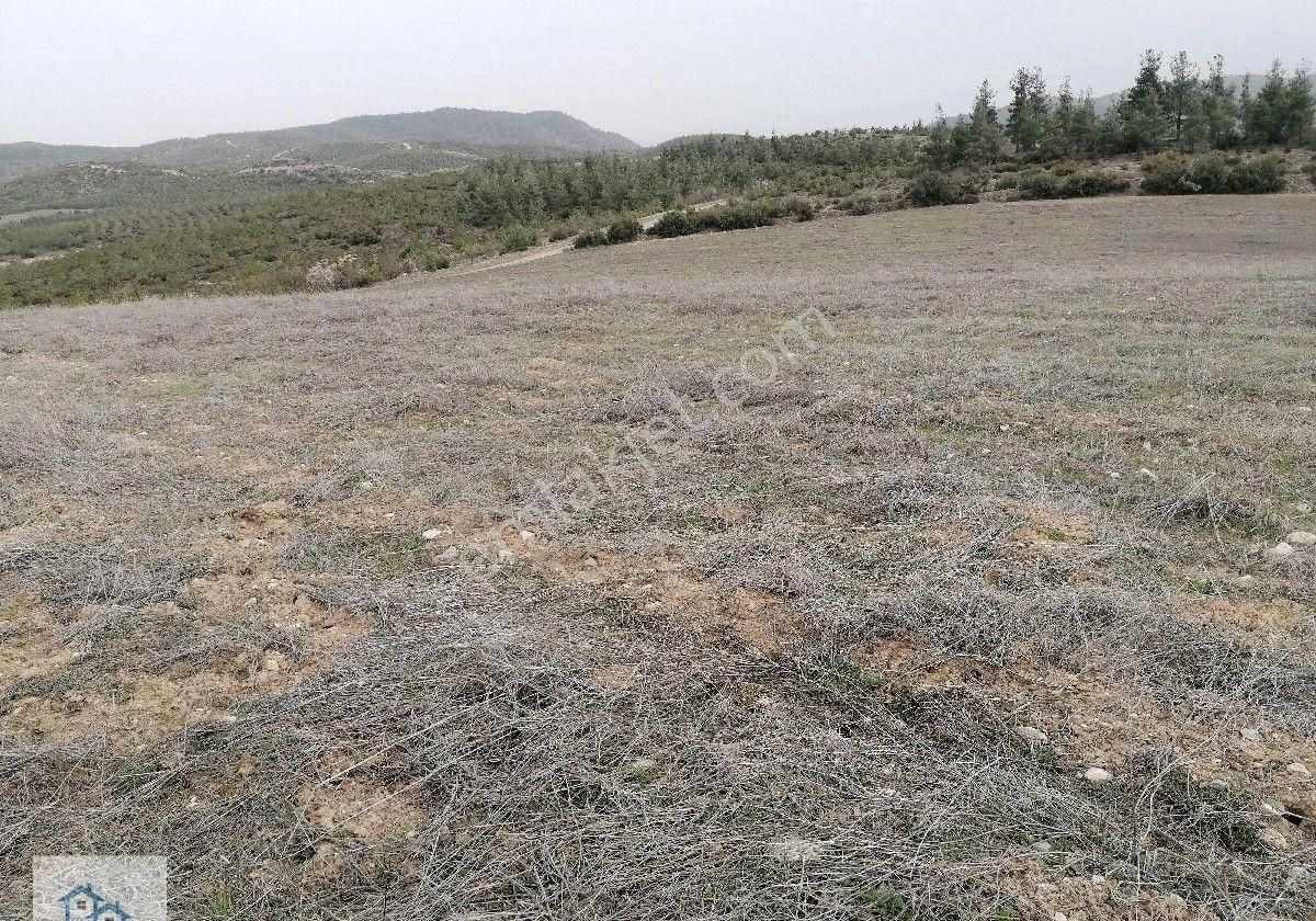 Ali Kurt Mahallesinde Satılık 10 Dönüm Tarla - Görsel 12