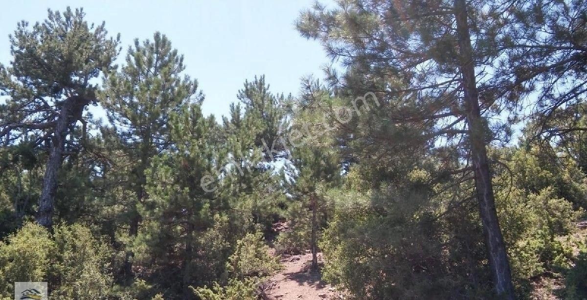 Denizli Pamukkale Güzelpınar'da Satılık 6875m2 Muhteşem Arazi - Görsel 6