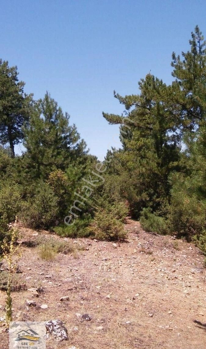 Denizli Pamukkale Güzelpınar'da Satılık 6875m2 Muhteşem Arazi