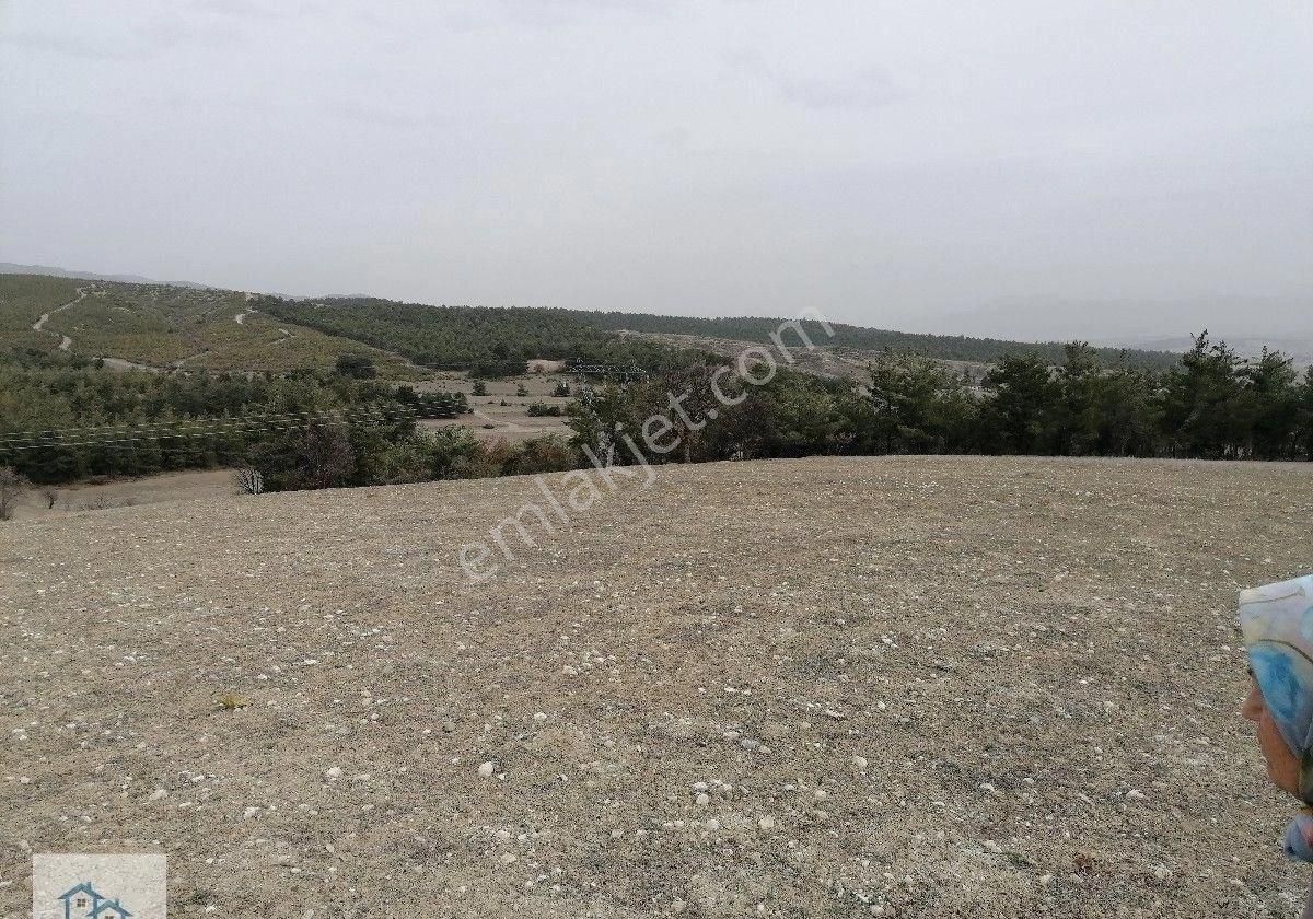 Fiyatta Muazzam Düşüş!! Denizli Bozkurt Baklankuyucak'ta Marjinal Raporu Alınmış 30 Dönüm Satılık A - Görsel 18