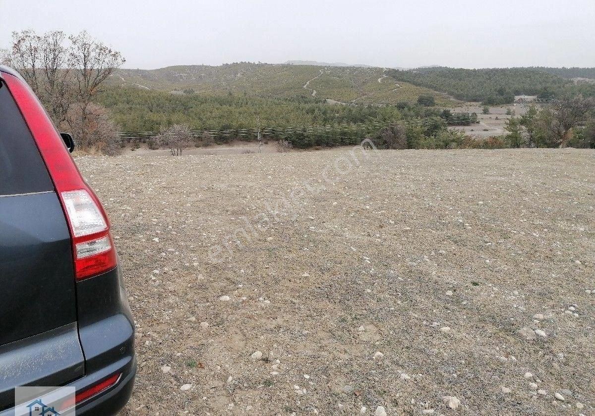 Fiyatta Muazzam Düşüş!! Denizli Bozkurt Baklankuyucak'ta Marjinal Raporu Alınmış 30 Dönüm Satılık A - Görsel 7