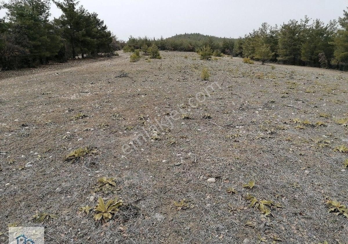 Fiyatta Muazzam Düşüş!! Denizli Bozkurt Baklankuyucak'ta Marjinal Raporu Alınmış 30 Dönüm Satılık A - Görsel 2