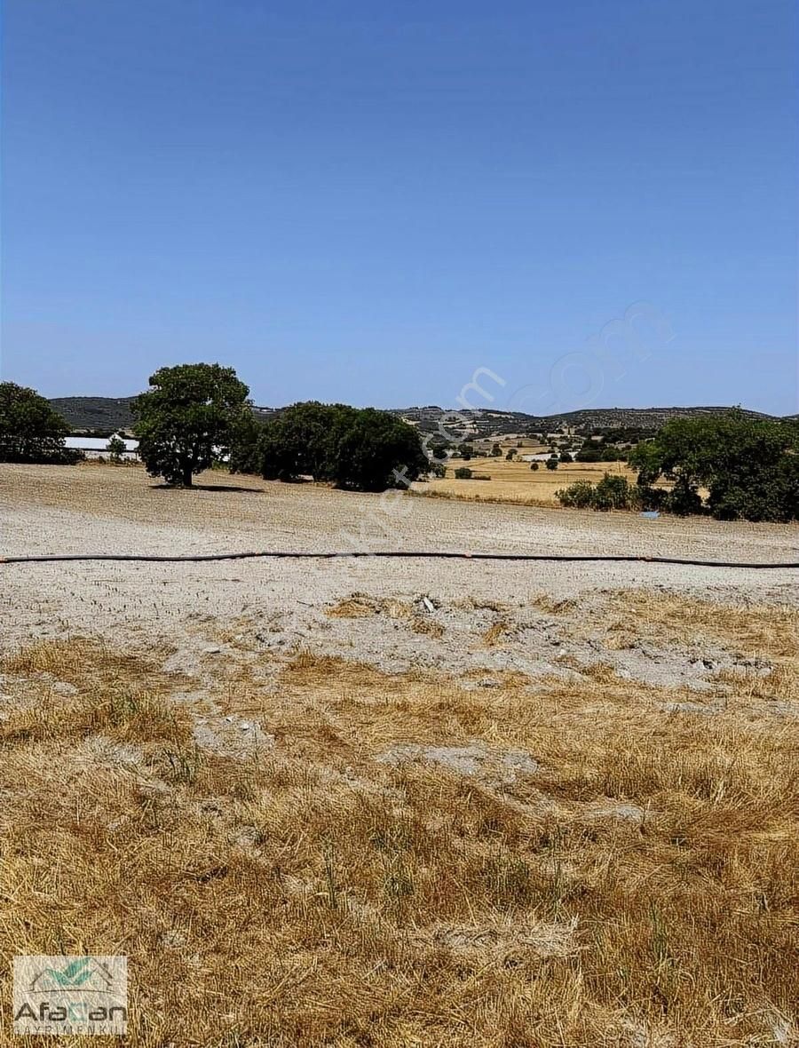 Balıkesir Organize Yanında Gökköy'de Uygun Fiyatlı 18800m2 Tarla