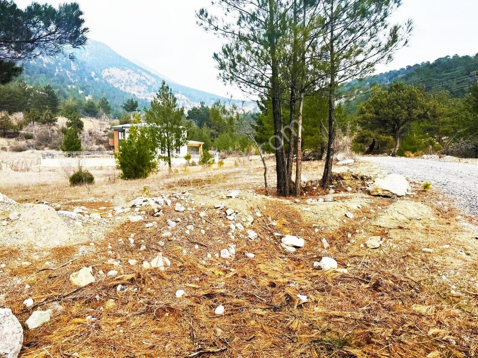 Pozantı Kar Emlaktan Alpu Yaylasında 400 M2 Arsa