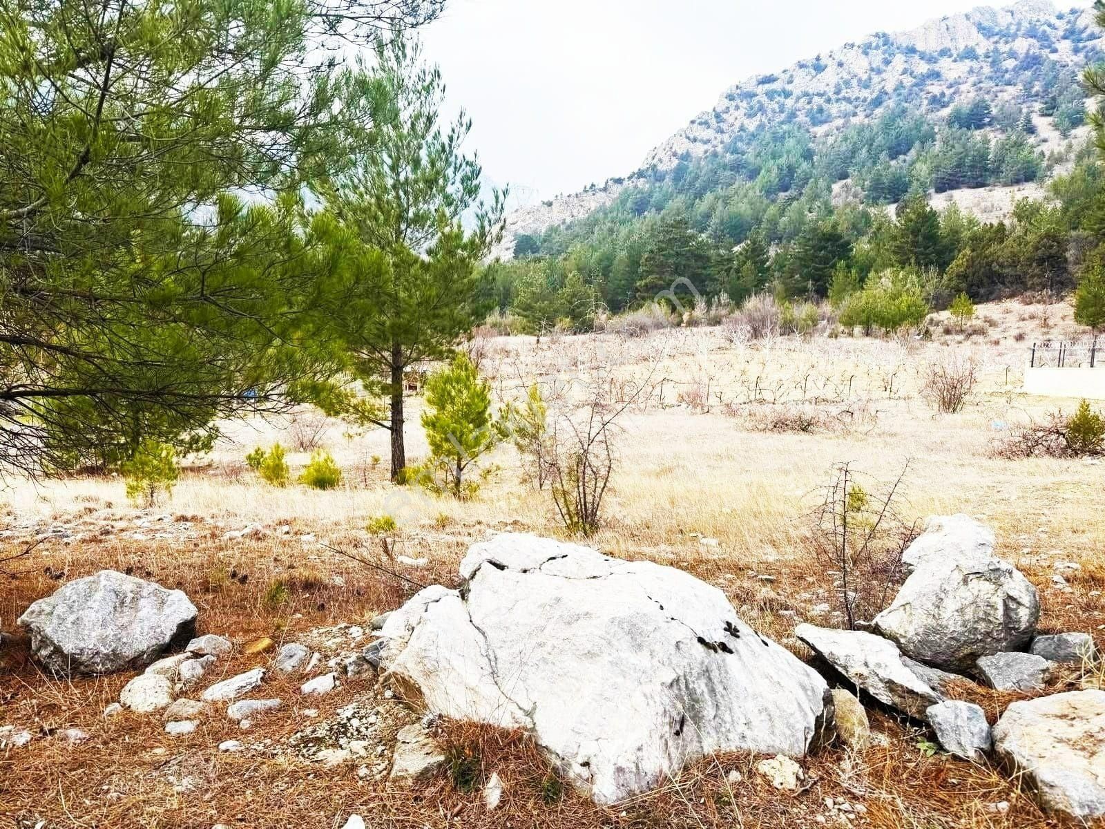 Pozantı Kar Emlaktan Alpu Yaylasında 400 M2 Arsa - Görsel 30