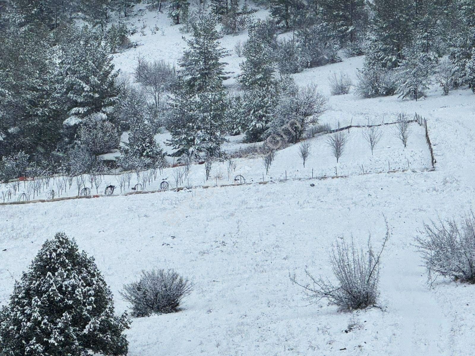 Pozantı Kar Emlaktan Alpu Yaylasında 400 M2 Arsa - Görsel 2