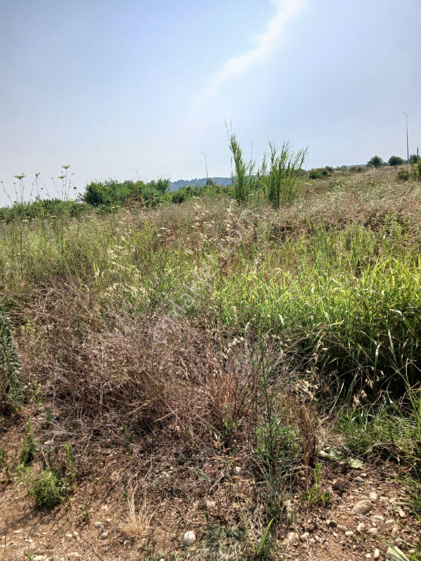 Deniz Yakada Denize 5 Km. Yolu Olan Tek Tapu Mustakil Sera Çiftlik Yeri
