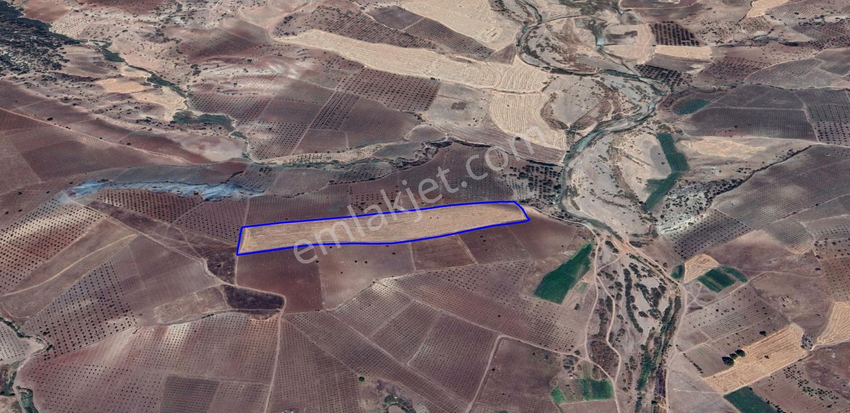 Kilis Musabeyli Koçcagız Köyünde Satılık Tarla - Görsel 9