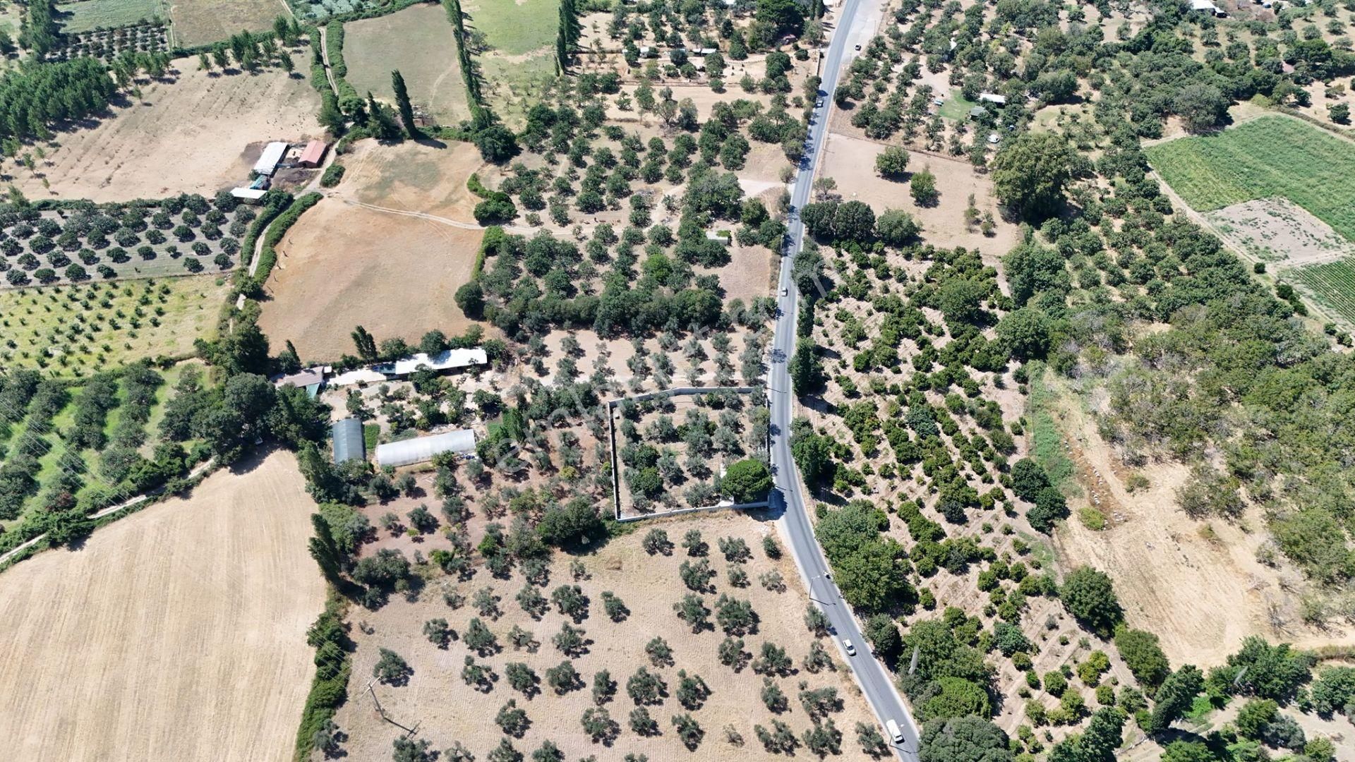 Irmaksudan Altınkum İzmir Yolu Arası Yola Sıfır 2 Dönüm Zeytinlik - Görsel 7