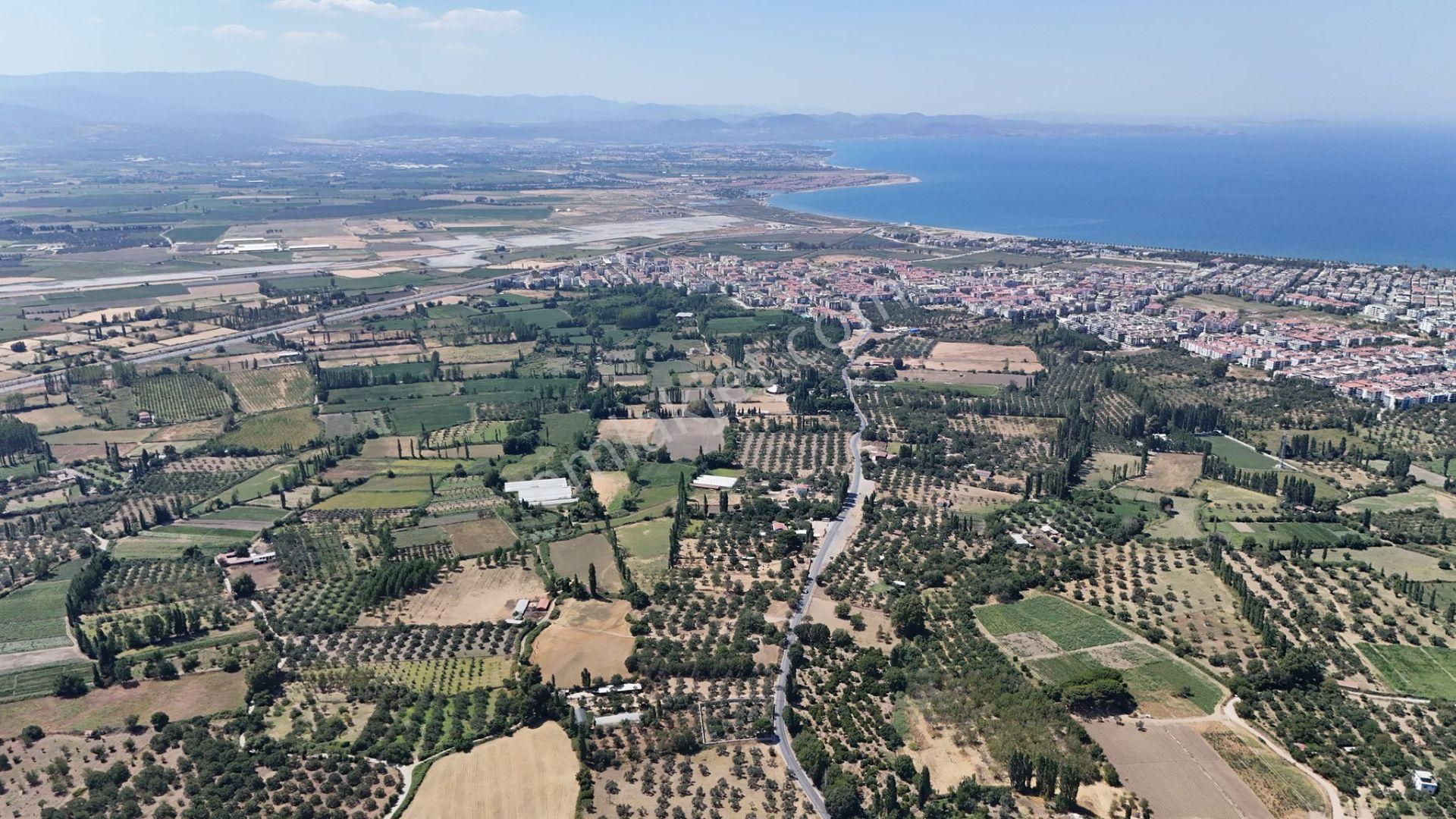 Irmaksudan Altınkum İzmir Yolu Arası Yola Sıfır 2 Dönüm Zeytinlik - Görsel 6