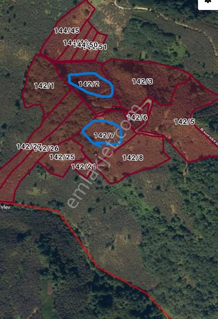 Giresun Tireboluda 5,7 Dönüm Satılık Fındık Bahçesi / Yatırımlık Satılık Arsa